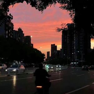 日本特黄在线观看
