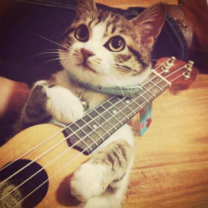 日本特黄在线观看
